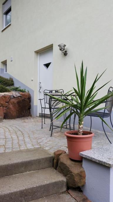 Ferienwohnung Talblick Im Schwarzwald Seelbach  Eksteriør billede