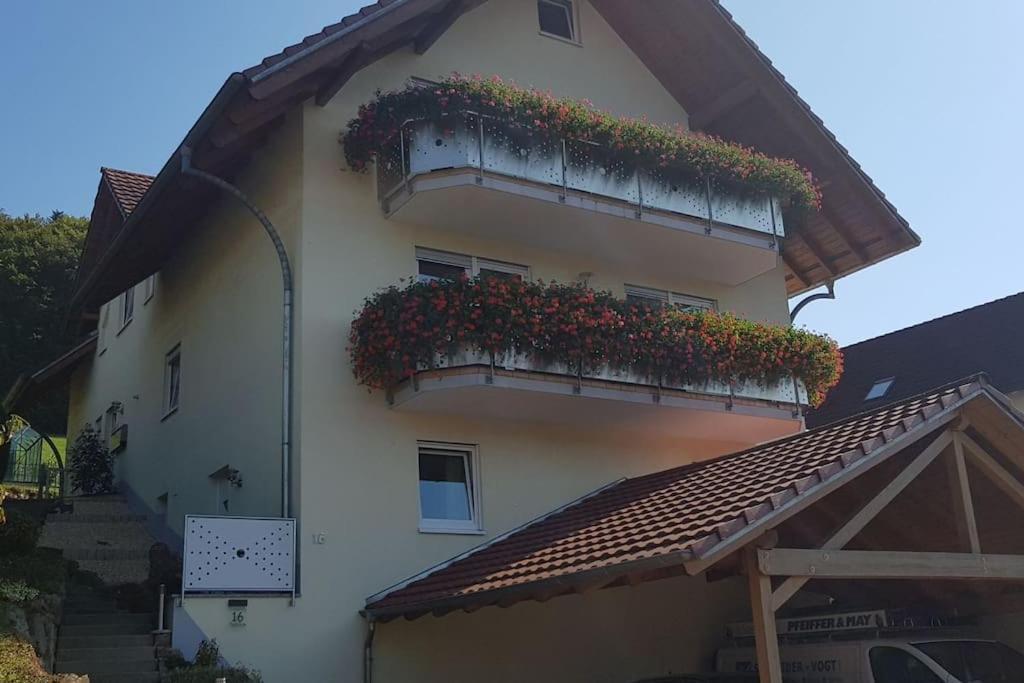 Ferienwohnung Talblick Im Schwarzwald Seelbach  Eksteriør billede