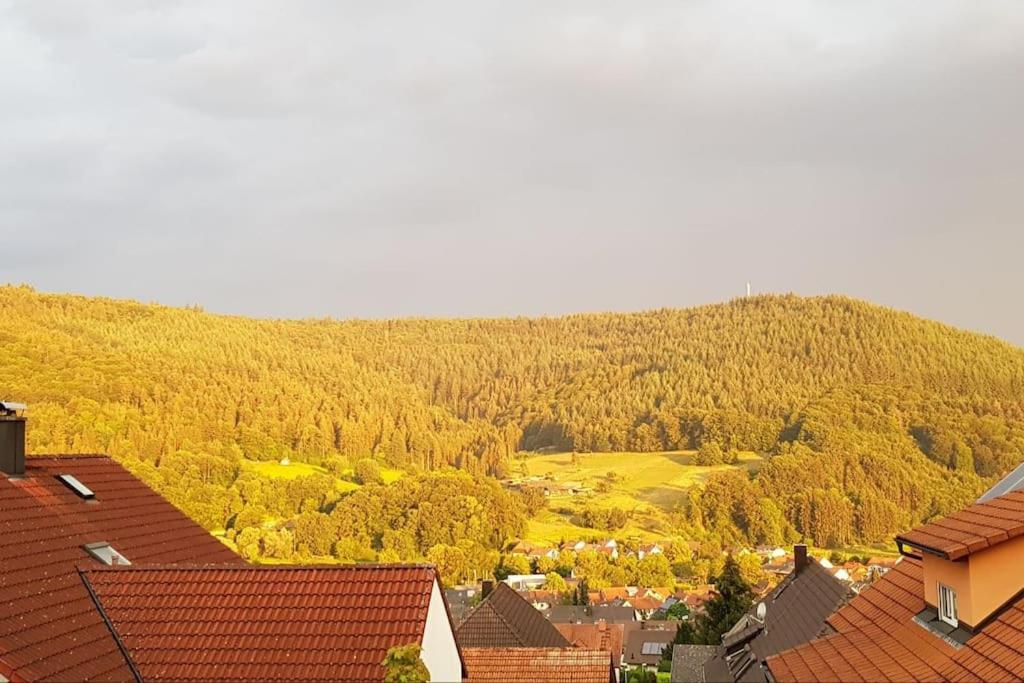 Ferienwohnung Talblick Im Schwarzwald Seelbach  Eksteriør billede
