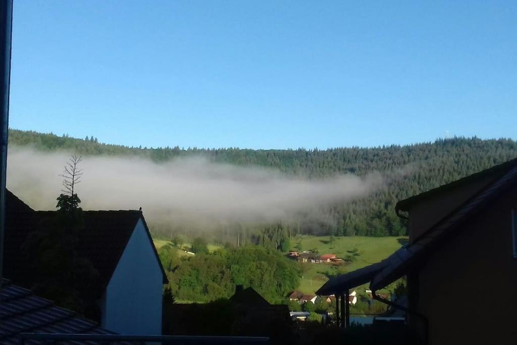 Ferienwohnung Talblick Im Schwarzwald Seelbach  Eksteriør billede