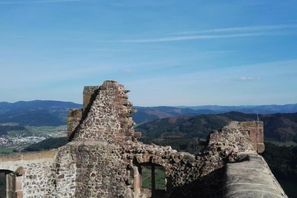 Ferienwohnung Talblick Im Schwarzwald Seelbach  Eksteriør billede