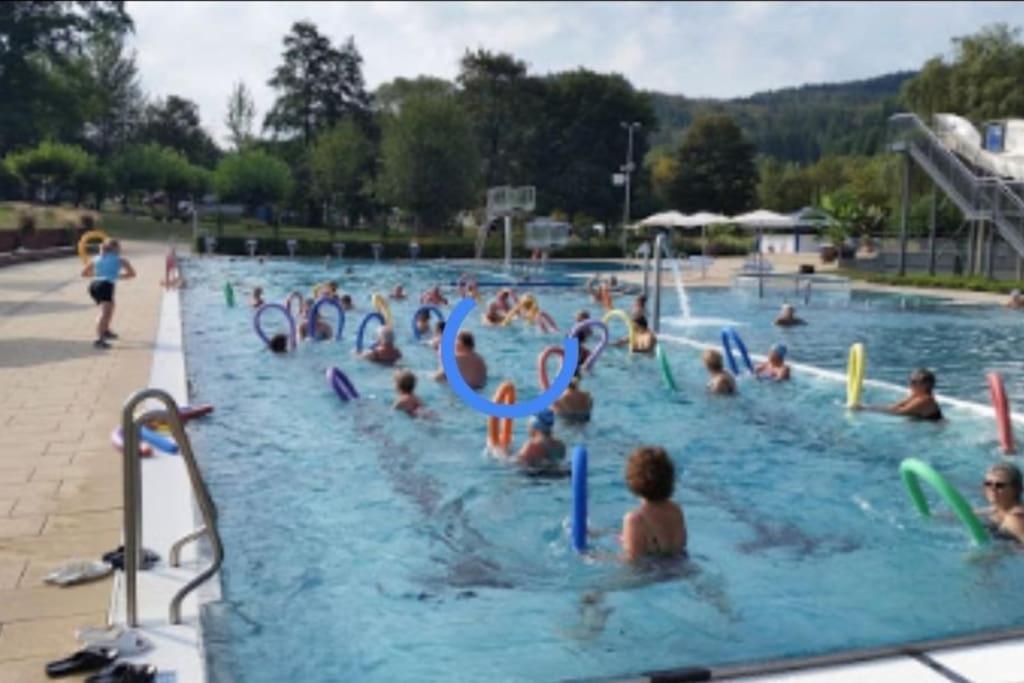 Ferienwohnung Talblick Im Schwarzwald Seelbach  Eksteriør billede