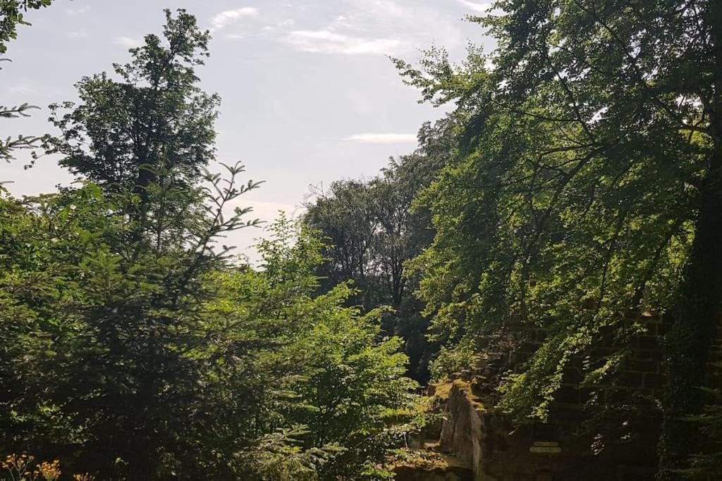 Ferienwohnung Talblick Im Schwarzwald Seelbach  Eksteriør billede