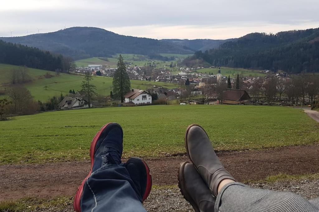 Ferienwohnung Talblick Im Schwarzwald Seelbach  Eksteriør billede