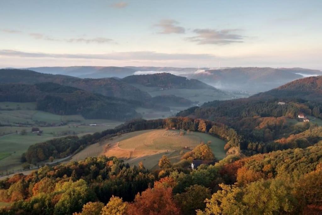 Ferienwohnung Talblick Im Schwarzwald Seelbach  Eksteriør billede