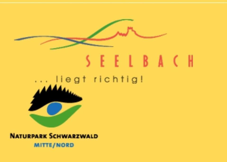 Ferienwohnung Talblick Im Schwarzwald Seelbach  Eksteriør billede
