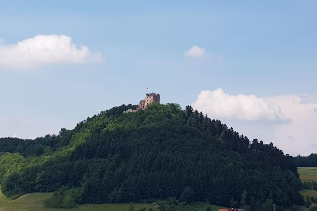 Ferienwohnung Talblick Im Schwarzwald Seelbach  Eksteriør billede