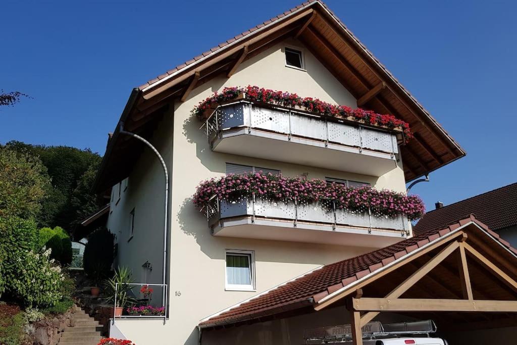 Ferienwohnung Talblick Im Schwarzwald Seelbach  Eksteriør billede