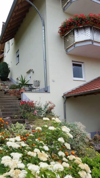 Ferienwohnung Talblick Im Schwarzwald Seelbach  Eksteriør billede