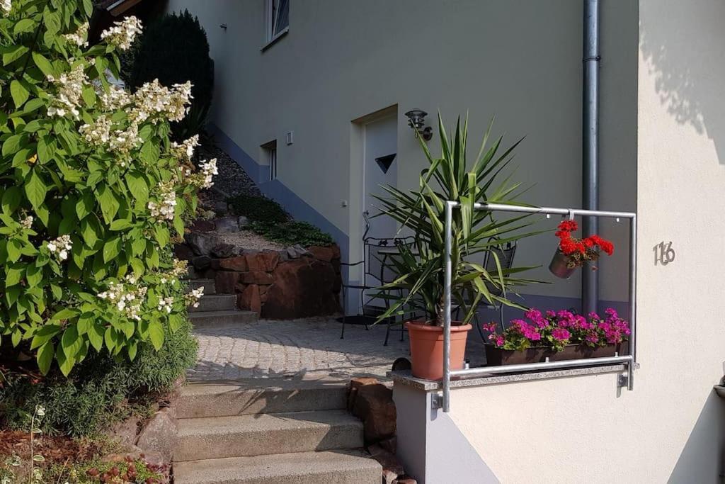 Ferienwohnung Talblick Im Schwarzwald Seelbach  Eksteriør billede
